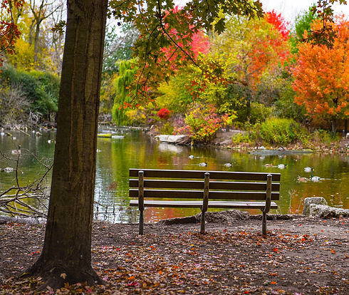 Bench-water.jpg