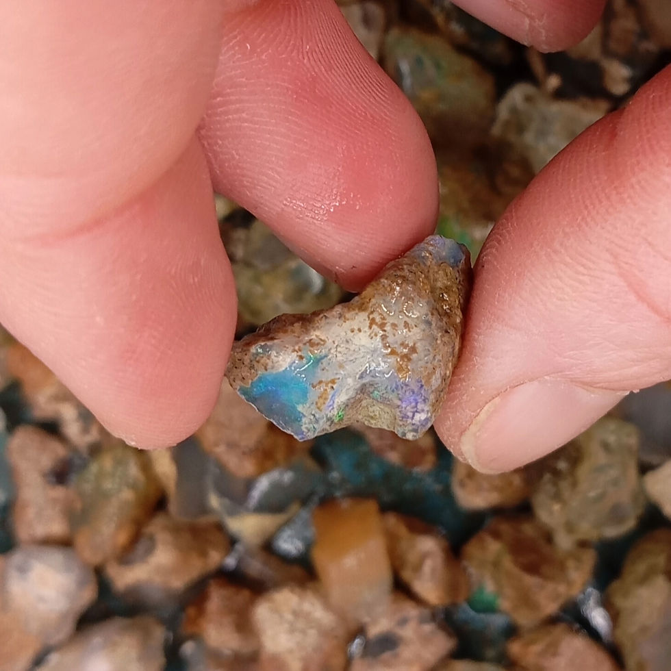 Miniature : Opale welo