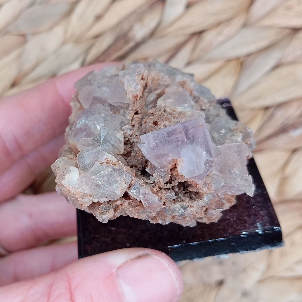 Miniature : Fluorine Berbes