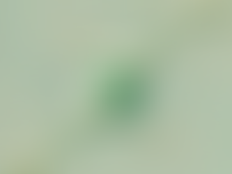 The Essential Role of Gaps in Life