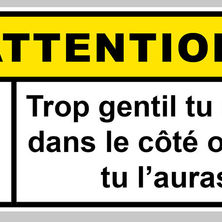 ENVIRONNEMENT : En supprimant les règlements qui nous protègent,
l'État choisit l’enrichissement