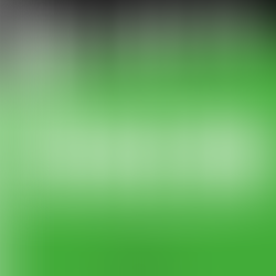 Le 23 novembre : Black ou Green Friday ?