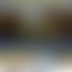 Dimanche 2 février, découvrez une
zone humide !