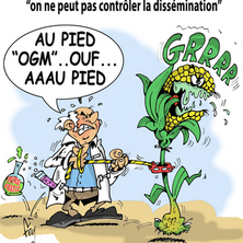 ALERTE : Offensive OGM dans nos champs et nos assiettes