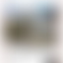 Dimanche 4 février : RANDONNÉE D'IMMERSION GRAND MARAIS (Départ à 10h précises)