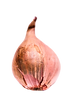 unsplash-tnhZUDFpKyw_edited.png