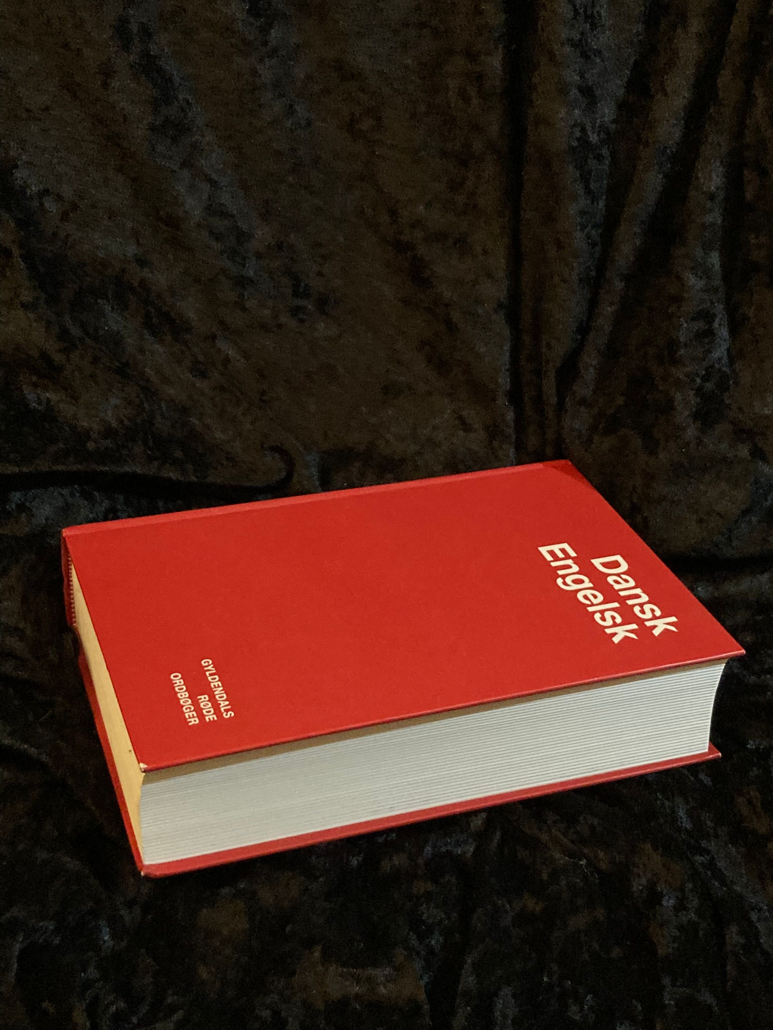 2007 BIG Danish-to-English Dictionary