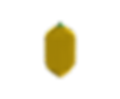 Etrog.png