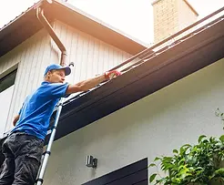 gutter cleaning services