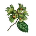 Logo copie_edited.png