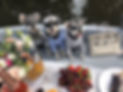 A31C6A2D-B85E-445F-8DAA-6852D118007E_1_105_c.jpeg