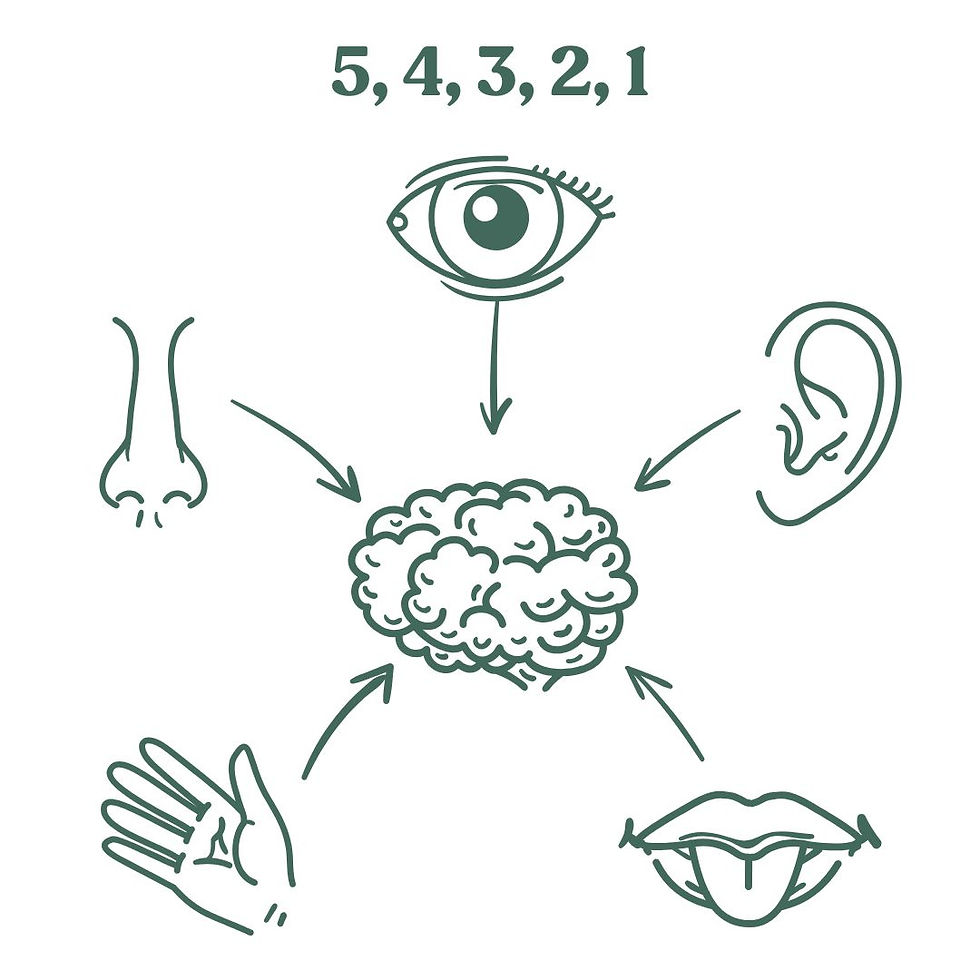 5,4,2,3,1 and the 5 senses