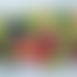 Nutrition for Better Gut Health