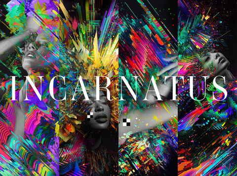 Incarnatus Collection