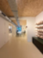 zicht naar achter bij Nathworkshops