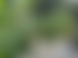 FALL HARVEST BEGINNINGS