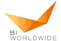 bi-worldwide-vector-logo.png