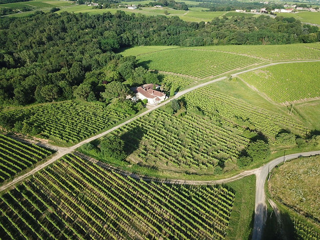 La Corne Aerial.jpeg