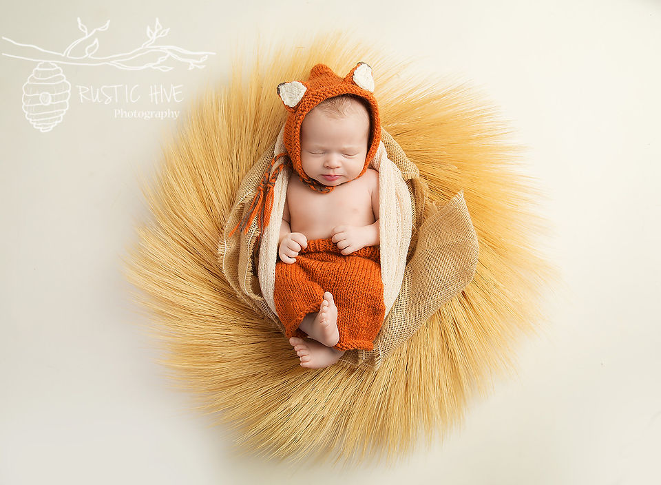 Carmel Newborn Photography