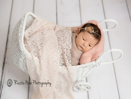 Putnam County Newborn Photographer