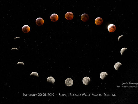 Shoot the Moon | Putnam County Photography