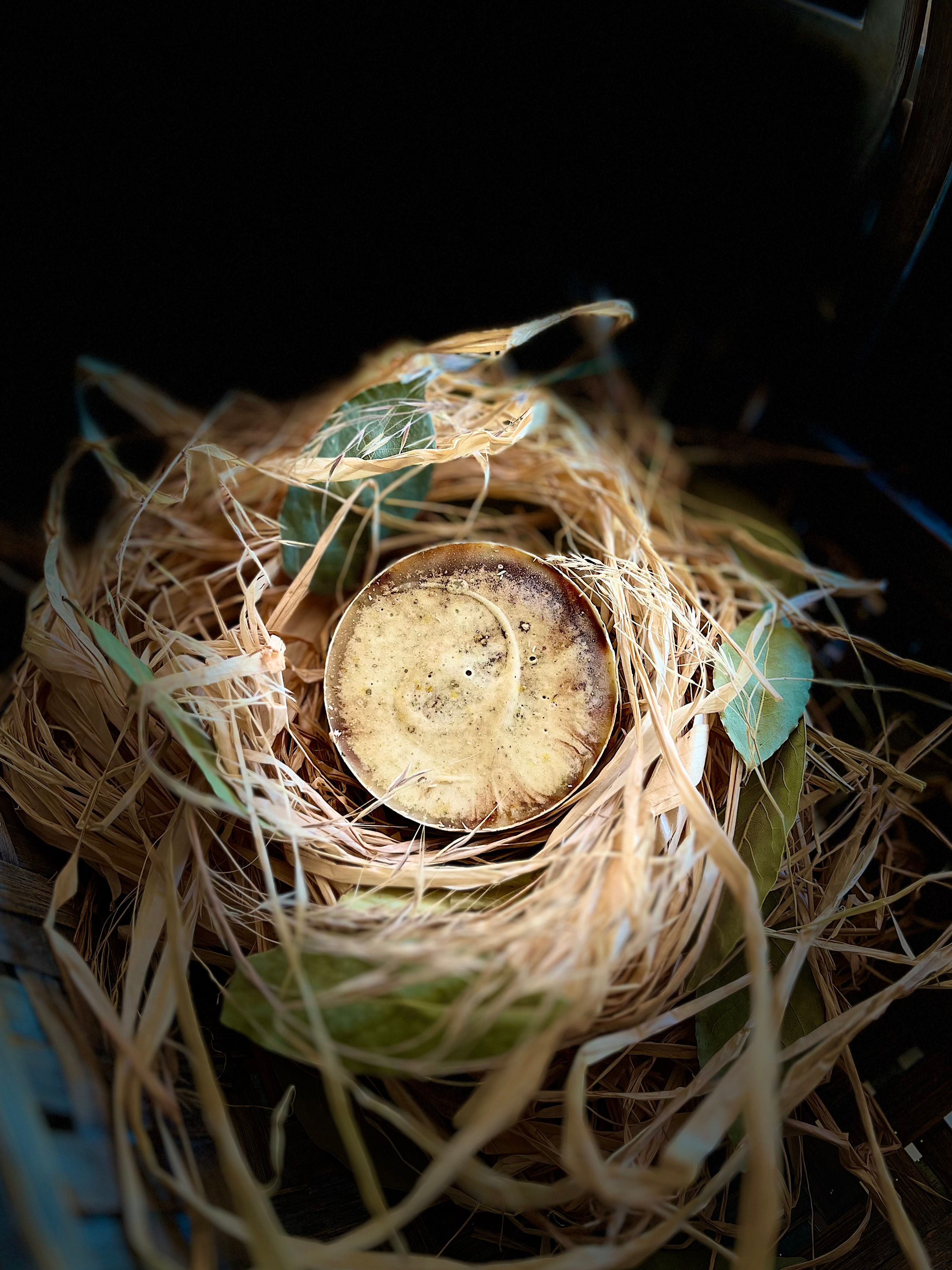 Jetzskis ~ Patchouli Mint