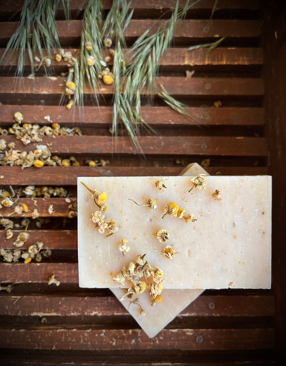 Chamomile Unscented