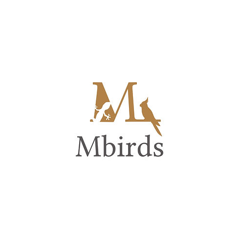 Mbirds1.jpg