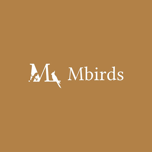 Mbirds3.jpg