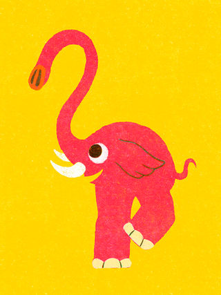 Elegant Elephant