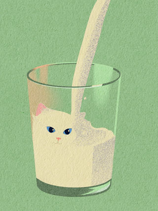 The Invisible Cat