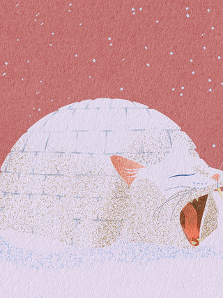 Igloo Cat