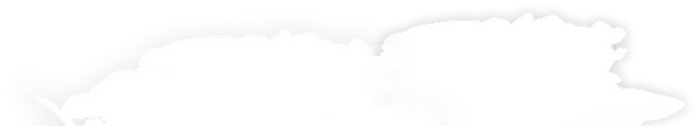blanco header.png