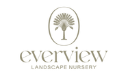 Everview_primarylogo_lightbg_transparent.png