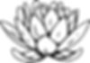 Lotus Flower