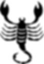 Scorpio