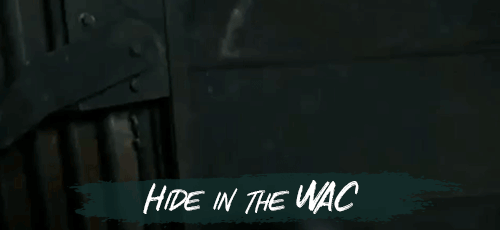 Hide-in-the-WAC.gif