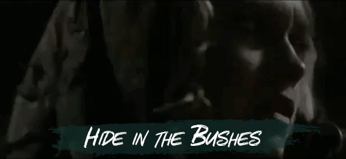 Hide-in-the-bushes.gif