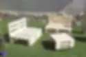 ree