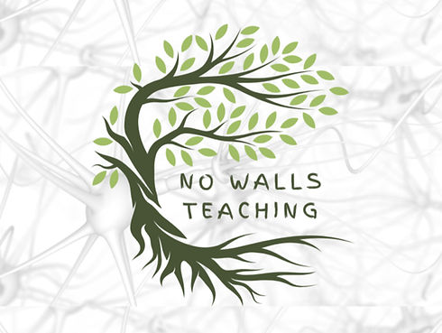 No Walls Logo.png