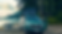BayLeafGreenOutdoors.png