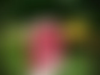 Sold sign from Amy Parsons with Real Estate Professionals