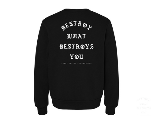 Destroy Sweatshirt | Jorge Pastore Founda