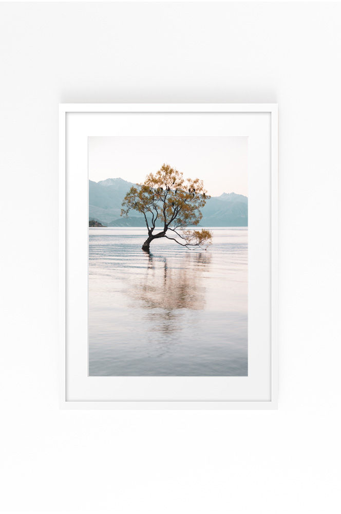 Thumbnail: That Wanaka Tree