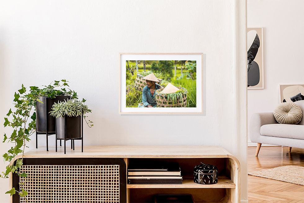 Thumbnail: Rice Farmer II