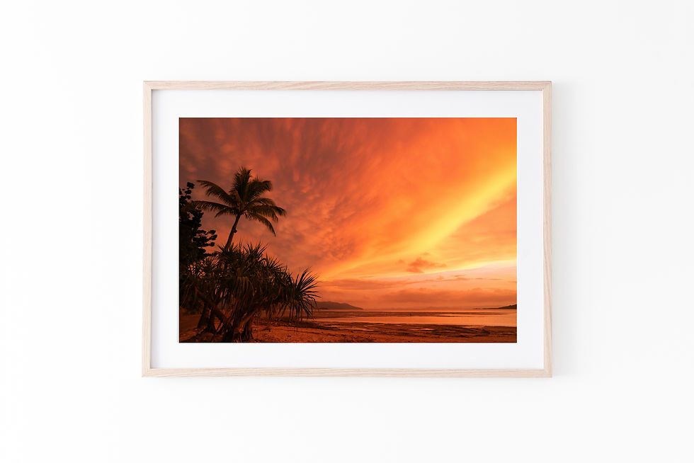 Thumbnail: Palm Silhouette, Fire Sky