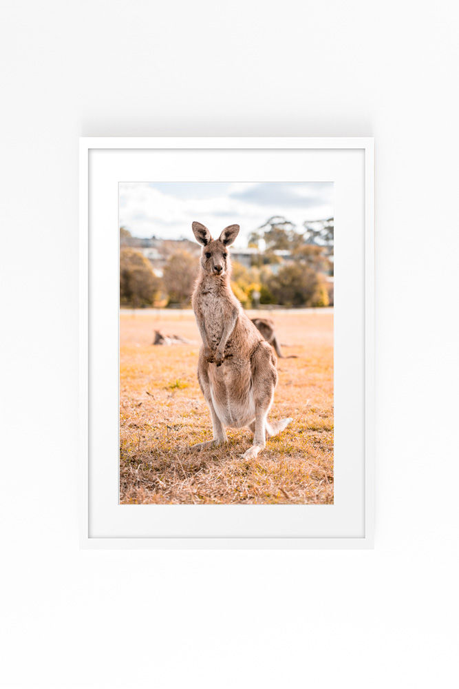 Thumbnail: Skippy