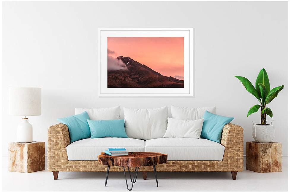 Thumbnail: Taranaki Pinks