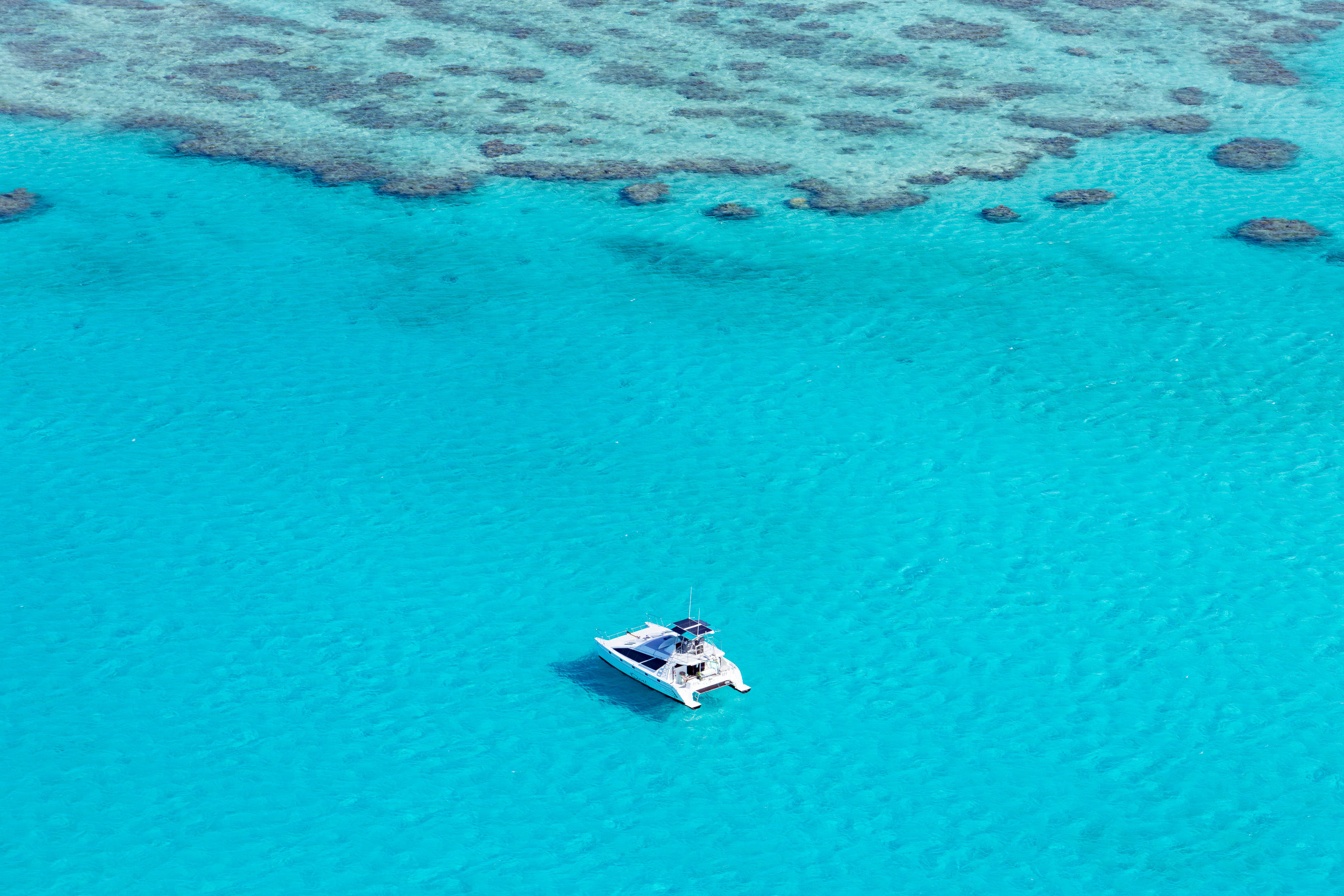 Lone Catamaran