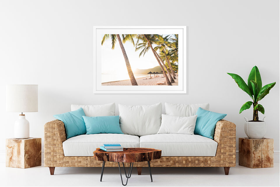 Thumbnail: Palm Paradise